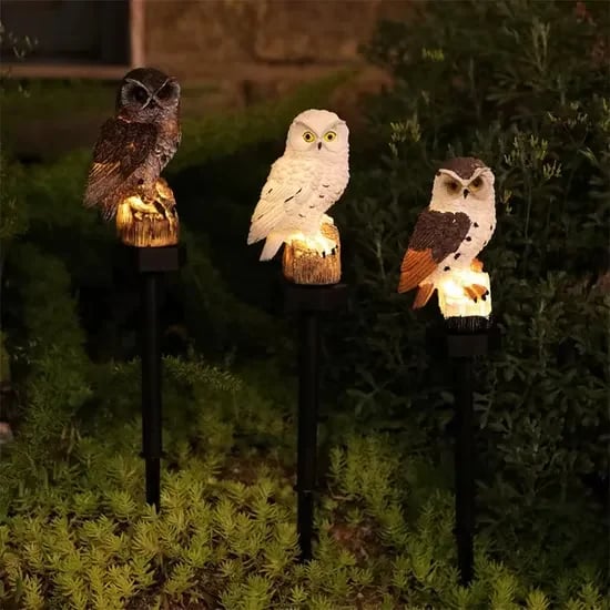 Pick One Owl—or Build a Trio