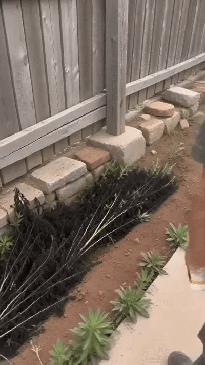 Animated how-to demonstration for Fast-Acting Natural Weed and Grass Killer Spray