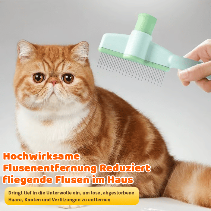 Pet grooming brush massage effect