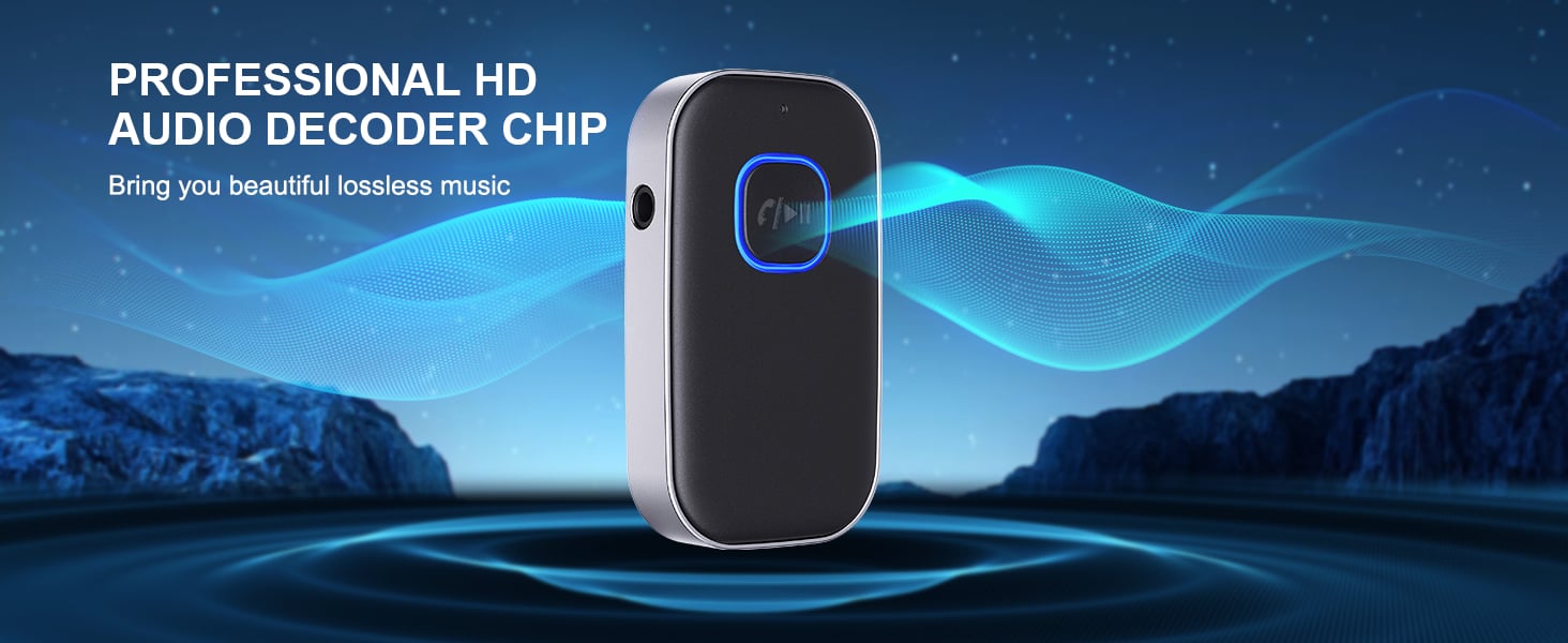 PROFESSIONAL HD AUDIO DECODER CHIP - Bring you beautiful lossless music PROFESSIONAL HD AUDIO DECODER CHIP - Bring you beautiful lossless music