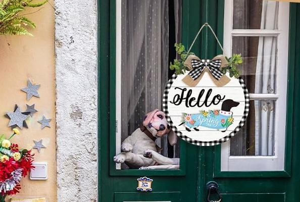 16pcs Interchangeable Dachshund Sign Dog Welcome Sign Wooden Sign with Magnet Detachable Accessories Seasonal Welcome Sign Decorations for Halloween Holiday Seasonal, Birthday Party, Home Wall Office Living Room Garden, Farmhouse Porch Front Door 16pcs Interchangeable Dachshund Sign Dog Welcome Sign Wooden Sign with Magnet Detachable Accessories Seasonal Welcome Sign Decorations for Halloween Holiday Seasonal, Birthday Party, Home Wall Office Living Room Garden, Farmhouse Porch Front Door