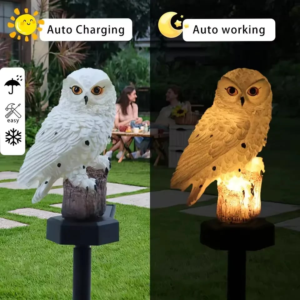 Charges by Day, Lights by Night