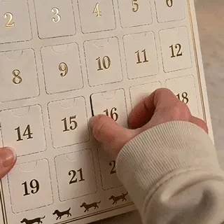 Dachshund-themed advent calendar surprise