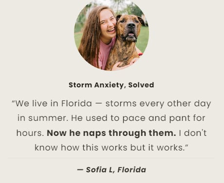 Dog owner feedback
