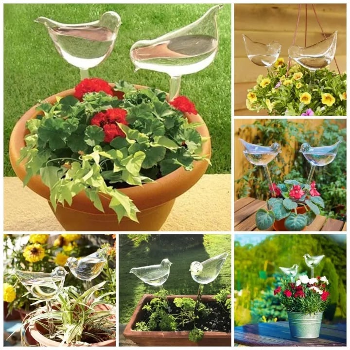 🔥Buy More Save More—SelfWatering Plant Glass Bulbs constructiol