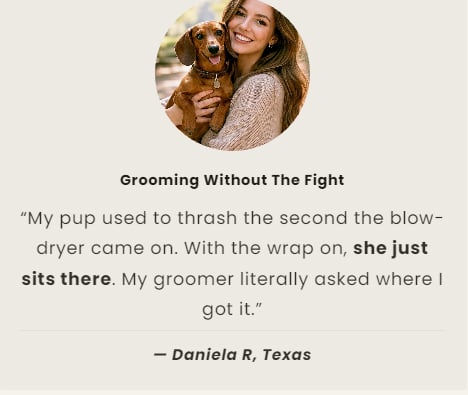 Dog owner feedback
